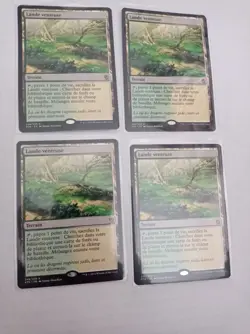 Lande venteuse - Windswept Heath- Magic mtg - NM FR * 4 (Playset) - fetchland - Image 1