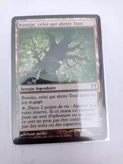 Boseiju, celui qui abrite Tout- Boseiju, Who Shelters All - Magic MTG - Exc FR - Image 1