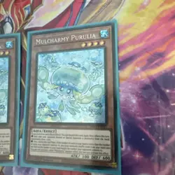 Mulcharmy Purulia Secret Rare 1st Edition INFO-EN027 YuGiOh (English) Playset - Image 3