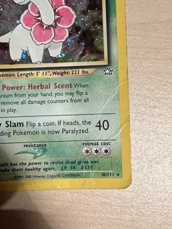 Pokemon TCG Meganium Neo Genesis 10/111 Holo 1st Edition Holo Rare 2004 HP - Image 5