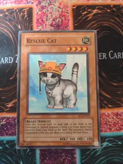 Yu-Gi-Oh! Rescue Cat FET-EN033 Unlimited Common NM - Image 1