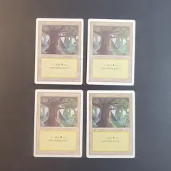 MTG - 4x Revised Edition - Forest C - NM/LP+ - Vintage White Border Land - Magic - Image 2