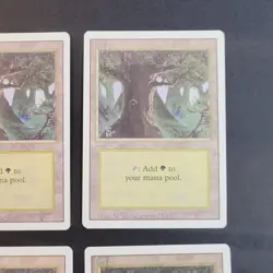 MTG - 4x Revised Edition - Forest C - NM/LP+ - Vintage White Border Land - Magic - Image 4