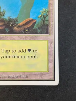 MTG - 1x Forest A - Unlimited (2nd) Edition LP - Vintage Magic The Gathering SGC - Image 5