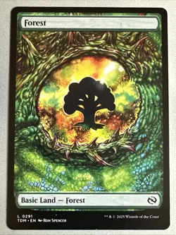 MTG / Forest / TDM / #0291 / Regular (Full Art) / Basic Land / NM - Image 1