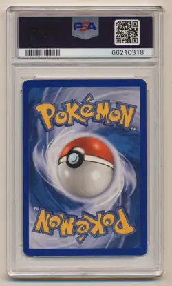 PSA 8 Pokemon EX Team Magma VS Team Aqua Reverse Holo Rare Walrein 6/95 NM/MINT! - Image 2