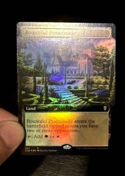 Never Played! - Bountiful Promenade #601 - (FOIL) - PACK FRESH MINT 🔥 - Image 1