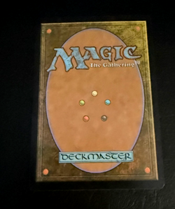 Never Played! - Bountiful Promenade #601 - (FOIL) - PACK FRESH MINT 🔥 - Image 2