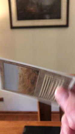 MTG - Volcanic Island - Revised - Scrubland - Revised - Alt Art - Samildanach88 - Image 2