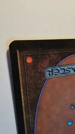 Tropical Island Revised Edition Regular SP/NM Wonderful condition (See pictures) - Image 3