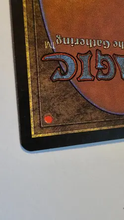 Tropical Island Revised Edition Regular SP/NM Wonderful condition (See pictures) - Image 4