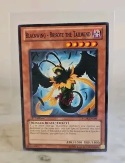 Yu-Gi-Oh! TCG: Blackwing - Brisote the Tailwind STOR-EN008 - MP Condition - Image 1