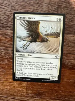 MTG - Tempest Hawk. Tarkir: Dragonstorm. Common White Creature - Bird. - Image 1
