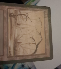 Swamp MP MTG Magic the Gathering Beta Basic Land (A) - Image 3