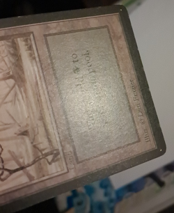 Swamp MP MTG Magic the Gathering Beta Basic Land (A) - Image 4