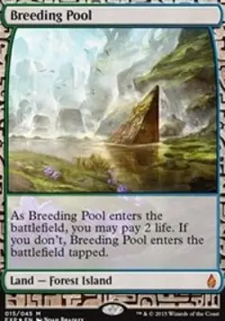 MTG English Breeding Pool NM Foil Zendikar Expeditions - Image 1