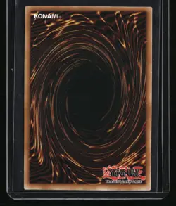 Quarter Century Stampede Dragon Master Magia (Platinum Secret Rare) - Image 2