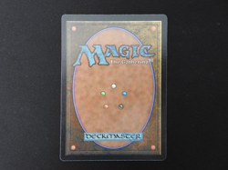 Savannah Lions NM [Alternate 4th Edition] Mtg Magic Free Tracking! - Image 2
