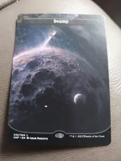 Swamp (242) (Borderless) Unfinity Regular - Image 1