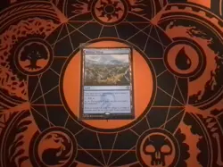 MTG - MISTRISE VILLAGE x1 *NM/M* Tarkir Dragonstorm - Image 1