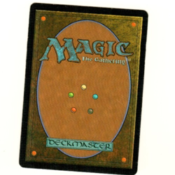 Hecatomb Ice Age Magic The Gathering Card - Image 4