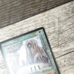 Magic The Gathering MTG Sylvan Library Legends 1994 LP Excellent Ungraded - Image 4