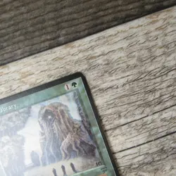 Magic The Gathering MTG Sylvan Library Legends 1994 LP Excellent Ungraded - Image 4