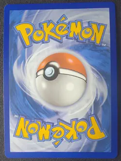 Bloodmoon Ursaluna ex 216/167 Sv06: Twilight Masquerade SIR Pokemon NM - Image 2