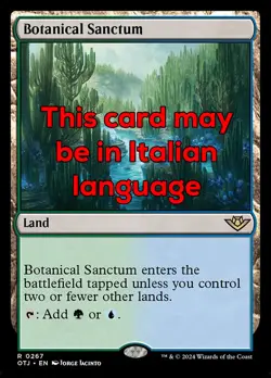 MTG BOTANICAL SANCTUM EXC - SANTUARIO BOTANICO 267 - OTJ - MAGIC - Image 1