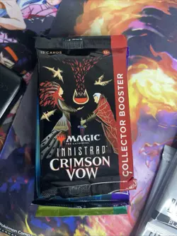 Magic the Gathering Random Lot Includes Collectors And Draft/Play Boosters Packs - Image 2