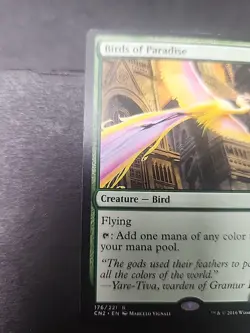 2× Birds of Paradise Conspiracy: Take the Crown Regular - Image 2