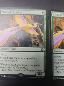 2× Birds of Paradise Conspiracy: Take the Crown Regular - Image 3