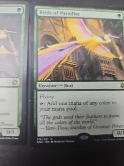 2× Birds of Paradise Conspiracy: Take the Crown Regular - Image 4
