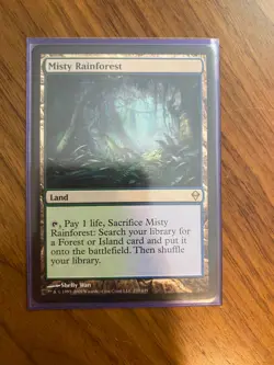 Misty Rainforest - Image 1