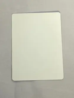 MTG Akuta, Born of Ash Artist Proof and Signature Signed Thompson - Image 2