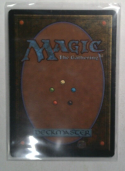 Mtg - Twiddle *Unlimited - Z0440* - Image 2