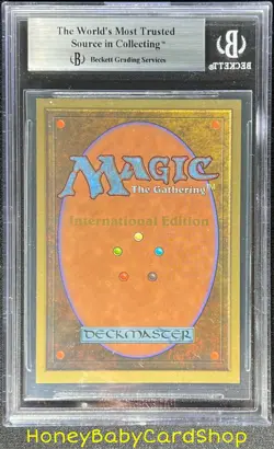 MTG International Edition (IE) 1993 Ice Storm BGS 8.5 NM/MT+ Old School 93/94 - Image 2