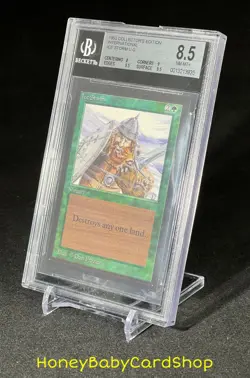 MTG International Edition (IE) 1993 Ice Storm BGS 8.5 NM/MT+ Old School 93/94 - Image 3