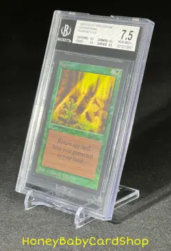 MTG International Edition (IE) 1993 Regrowth BGS 7.5 NM+ Old School 93/94 - Image 3
