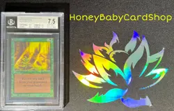 MTG International Edition (IE) 1993 Regrowth BGS 7.5 NM+ Old School 93/94 - Image 4