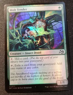 Molt Tender - Foil - DFT - MTG - NM - EN - 0171 - Image 1