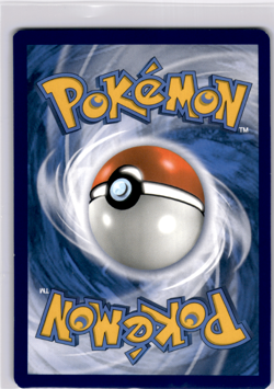 Charizard V - SWSH: Sword & Shield Promo Cards SWSH260 LP - Image 2