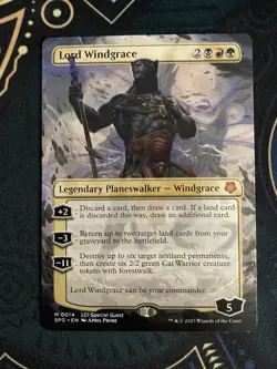 Lord Windgrace (Borderless) Special Guests Regular LP condition - Image 1