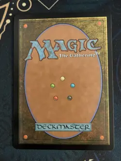 Lord Windgrace (Borderless) Special Guests Regular LP condition - Image 2