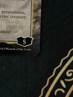 Lord Windgrace (Borderless) Special Guests Regular LP condition - Image 3