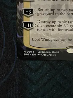 Lord Windgrace (Borderless) Special Guests Regular LP condition - Image 4