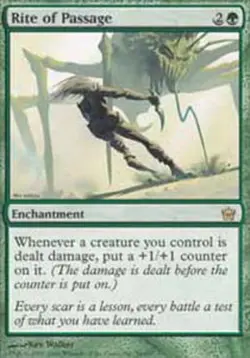 MTG Rite of Passage, Fifth Dawn, Heavily Played, English - Image 1