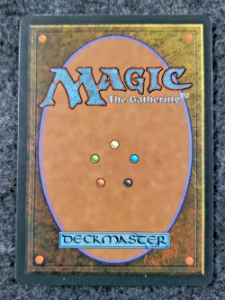 MTG - 3rd Edition - Revised - Fungusaur - Rare - mint Never played ....(DS3D1K6) - Image 2