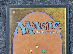 MTG - 3rd Edition - Revised - Fungusaur - Rare - mint Never played ....(DS3D1K6) - Image 4