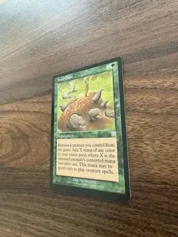 MTG Food Chain Mercadian Masques 246/350 Rare Card NM - Image 3